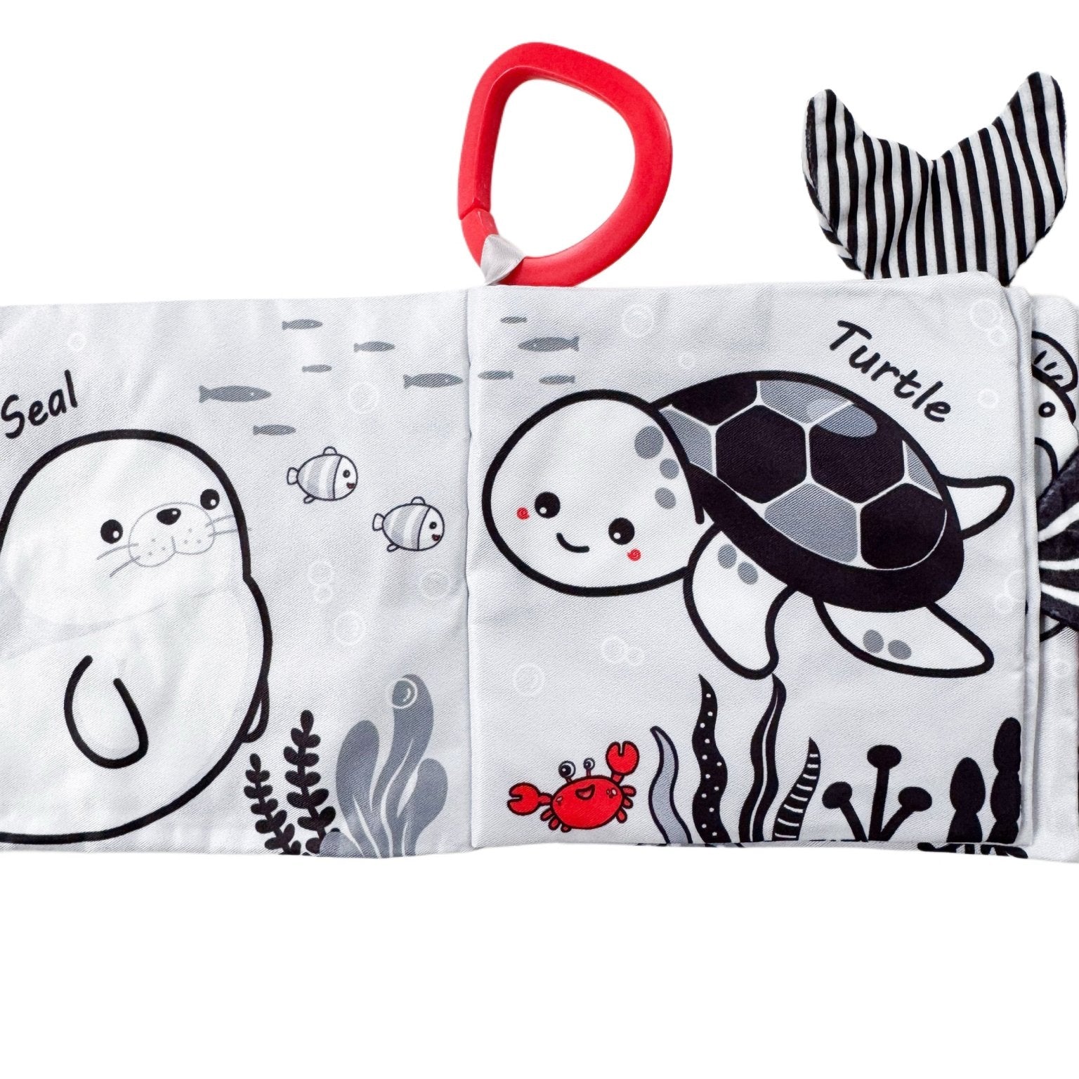 Carte cu animale zornaitoare – Delfin - Botez bebelusi